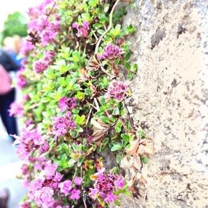 Meet your Posher, Danie